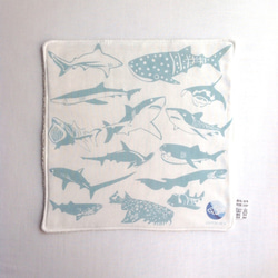 設計款SH176 - 【鯊魚印花】無染純棉方巾 第2張的照片
