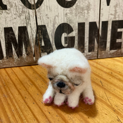 羊毛フェルト 犬 ペキニーズ 羊毛フェルト apricot 通販 2719995