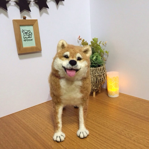 羊毛フェルト 犬 柴犬 羊毛フェルト apricot 通販 2615974 羊毛フェルト 犬 柴犬 羊毛フェルト apricot 通販 2615974