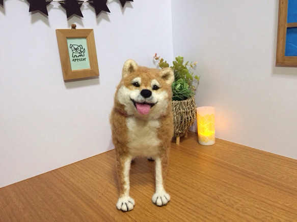 羊毛フェルト 犬 柴犬 羊毛フェルト apricot 通販 2615974