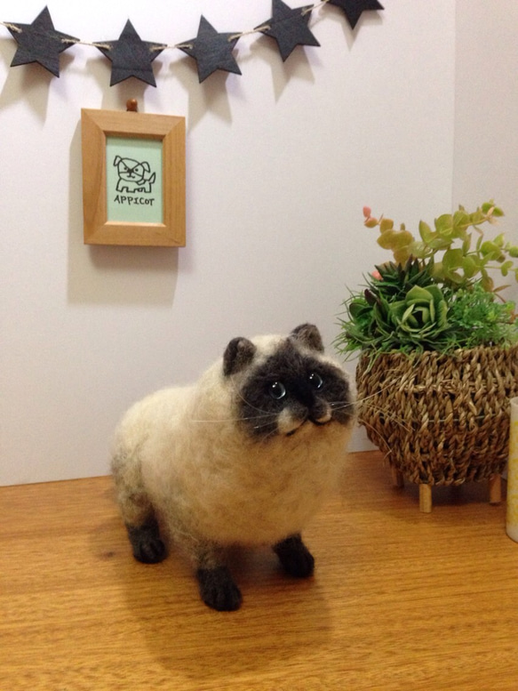 羊毛フェルト 猫 ヒマラヤン 2枚目の画像