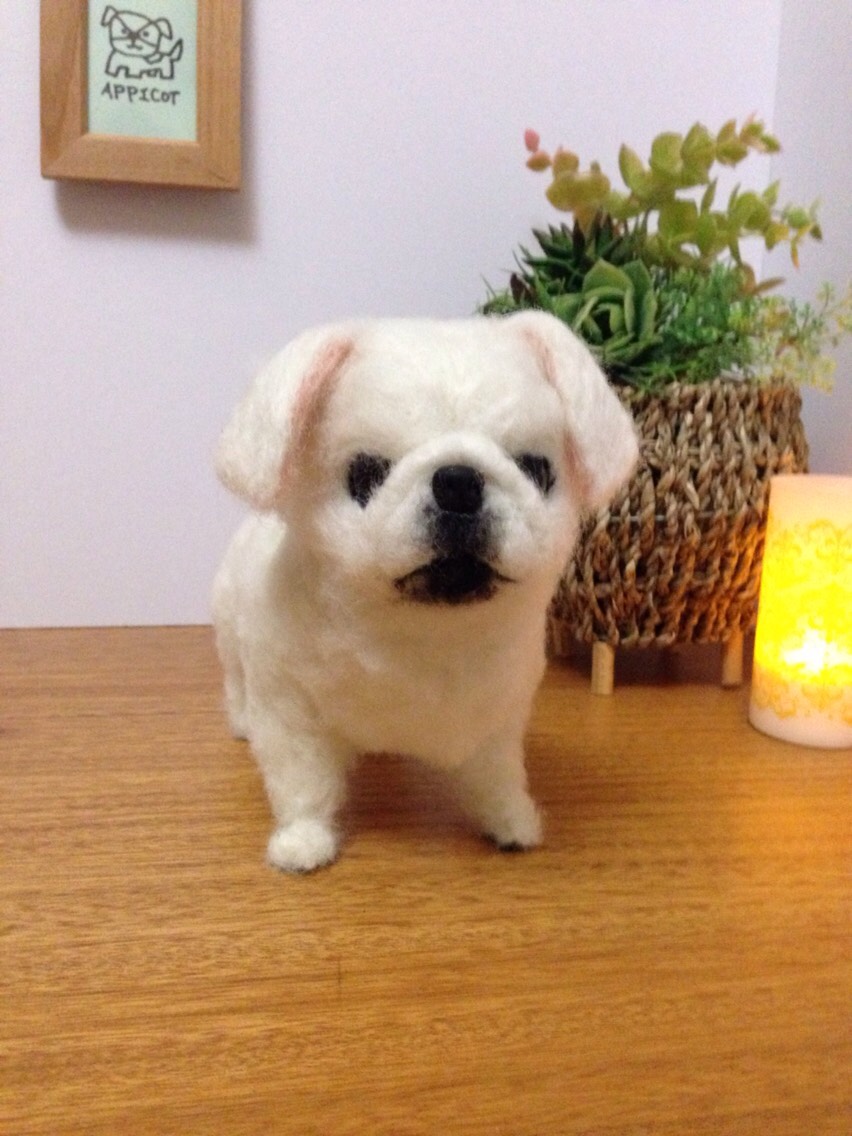 羊毛フェルト】ペキニーズ・笑顔の白ペキちゃんやっと完成しま