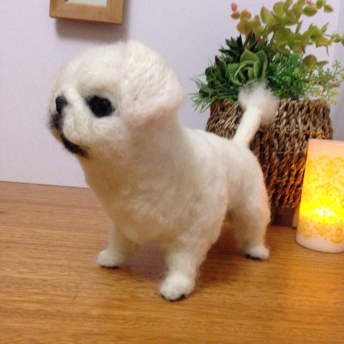羊毛フェルト 犬 ペキニーズ 羊毛フェルト apricot 通販 2719995 羊毛フェルト 犬 ペキニーズ 羊毛フェルト apricot 通販 2719995