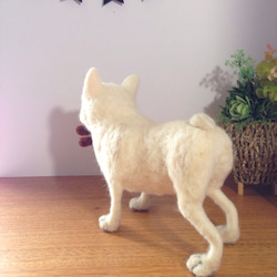 羊毛フェルト   犬   フレンチブルドッグ 3枚目の画像