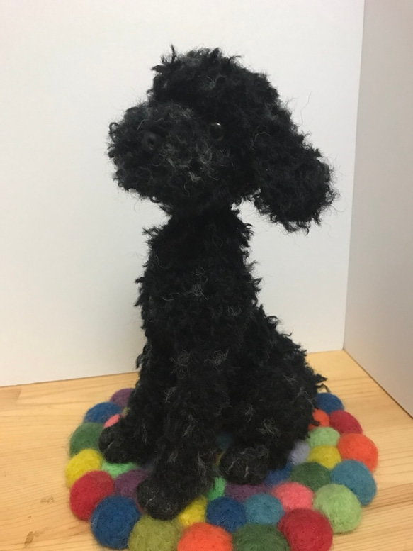 羊毛フェルト トイプードル 黒 ぬいぐるみ apricot 通販 3159470