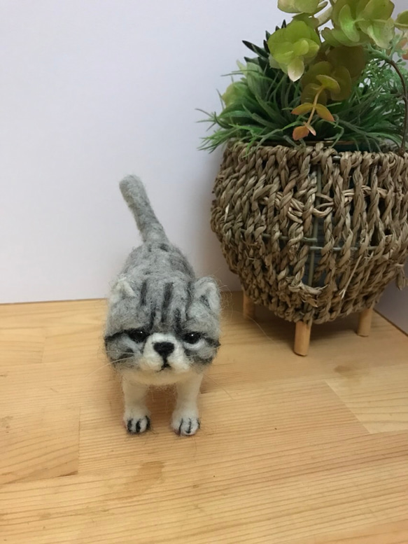 羊毛フェルト  猫 1枚目の画像
