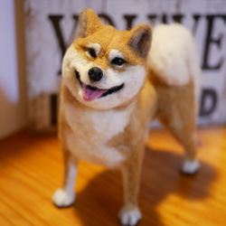 羊毛フェルト　柴犬 ☆柴犬☆】羊毛フェルト 柴犬 ハンドメイド 犬 - メルカリ
