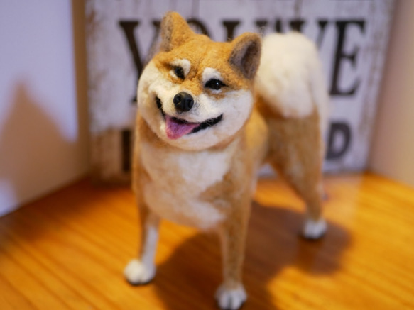 羊毛フェルト 柴犬 羊毛フェルト apricot 通販 4350937｜Creema