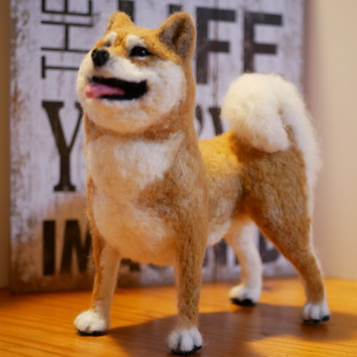 羊毛フェルト 柴犬 羊毛フェルト apricot 通販 4350937｜Creema(クリーマ)