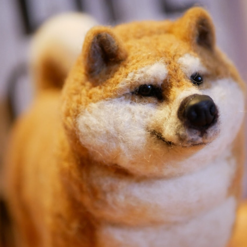 羊毛フェルト 柴犬 おデブちゃん 羊毛フェルト apricot 通販
