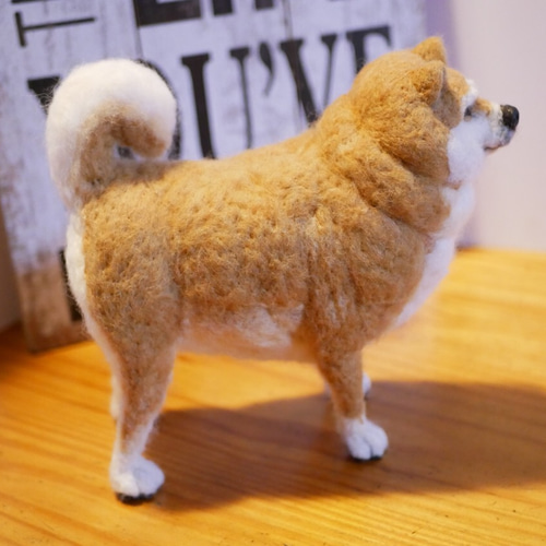 羊毛フェルト 柴犬 おデブちゃん 羊毛フェルト apricot 通販 4482731