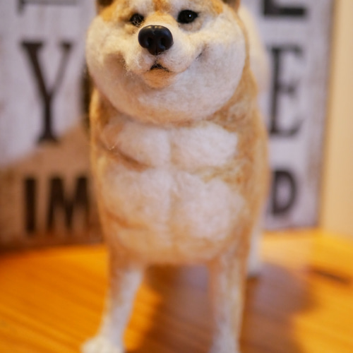 羊毛フェルト犬 柴犬 Yahoo!オークション - 羊毛フェルト 犬 柴犬