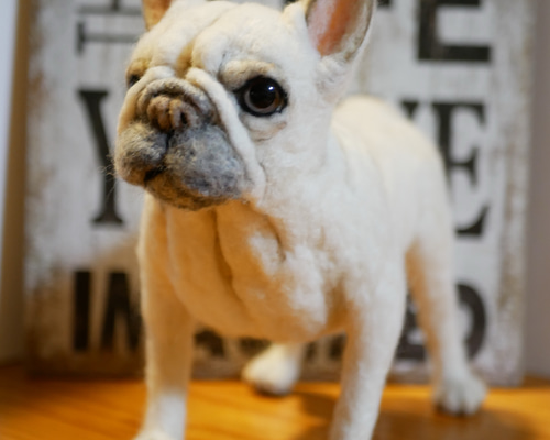 羊毛フェルト フレンチブルドッグ 羊毛フェルト apricot 通販 6440587