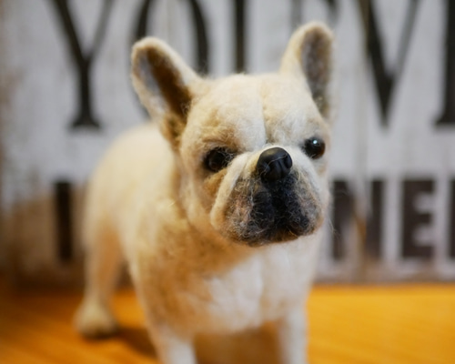 羊毛フェルト フレンチブルドッグ 羊毛フェルト apricot 通販 6440644