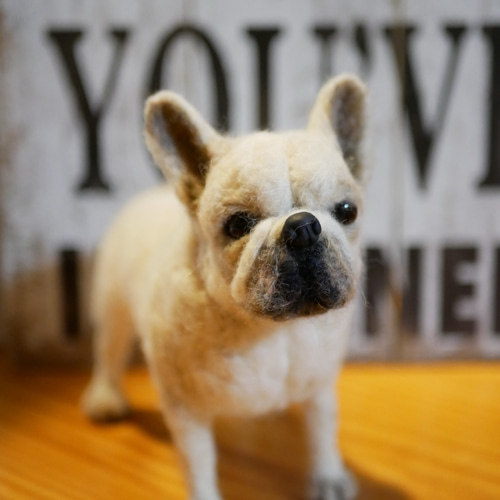 羊毛フェルト　フレンチブルドッグ 羊毛フェルト フレンチブルドッグ 羊毛フェルト apricot 通販 6440644