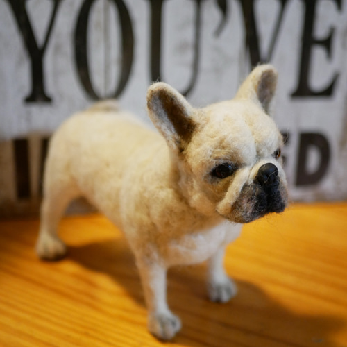 羊毛フェルト フレンチブルドッグ 羊毛フェルト apricot 通販 6440644