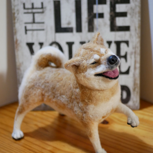 羊毛フェルト　柴犬　momoichigo Yahoo!オークション - 羊毛フェルト 犬 柴犬 子犬