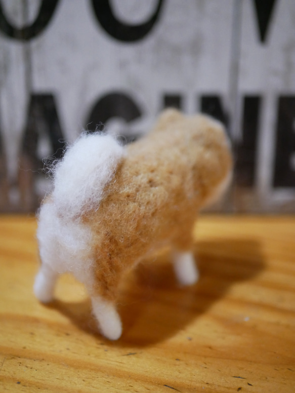 羊毛フエルト  柴犬 3枚目の画像