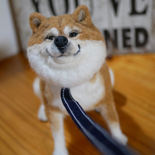 羊毛フェルト 柴犬 羊毛フェルト apricot 通販 8847503｜Creema(クリーマ)