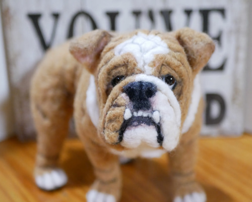 0_8511a474bbd0ac3a98182d5010b8