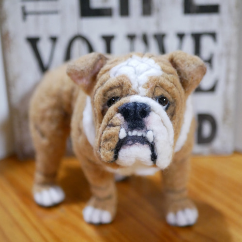 羊毛フェルト ブルドッグ 羊毛フェルト apricot 通販 9393191｜Creema