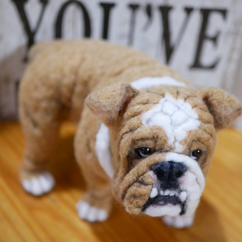 羊毛フェルト ブルドッグ 羊毛フェルト apricot 通販 9393191｜Creema