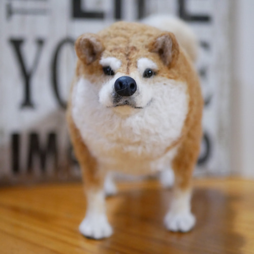 羊毛フェルト 柴犬 羊毛フェルト apricot 通販 9393245｜Creema