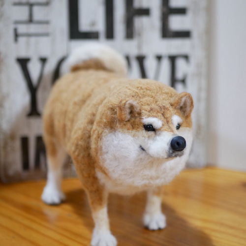羊毛フェルト 柴犬 置物 羊毛フェルト 柴犬 きちんとお座り - COTA0908'S GALLERY