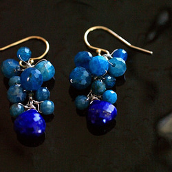 yamabudo : blue & blue ふたつの青い石を実のように束ねた耳飾り 5枚目の画像