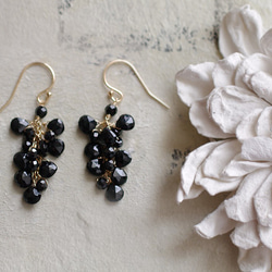 fusa : Black Spinel（earring） 第5張的照片