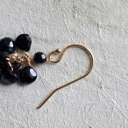 fusa : Black Spinel（earring） 第4張的照片