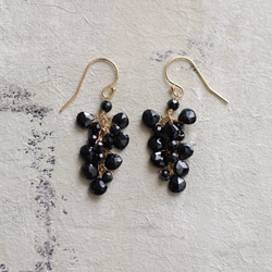 fusa : Black Spinel（earring）ブラックスピネルの耳飾り 1枚目の画像