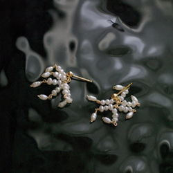 小珍珠/耳環珍珠耳環像搖曳的海月 第6張的照片