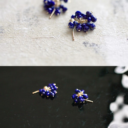 LapisLazuli / 小さな花（earring） ぱっと咲く小さな花のようなラピスラズリの耳飾り 3枚目の画像