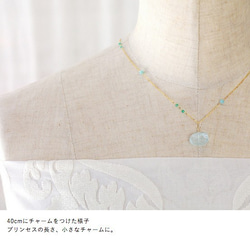 40鏈：Amazonaisite＆Green Onyx（項鍊）Amazonazon，Onyx 第4張的照片