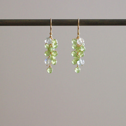 yamabudo : Peridot（earring） ペリドットを小さな房に仕立てた耳飾り 4枚目の画像