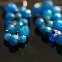 yamabudo : blue &amp; blue (earring) 很多藍色寶石像水果一樣捆在一起的耳環 第6張的照片