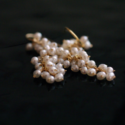 yamabudo：小珍珠（耳環）珍珠束耳環 第3張的照片