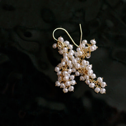 yamabudo：小珍珠（耳環）珍珠束耳環 第6張的照片