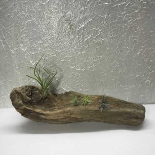 送料無料】流木 塊流木 インテリア 爬虫類 DIY エアプランツ台座 ka250