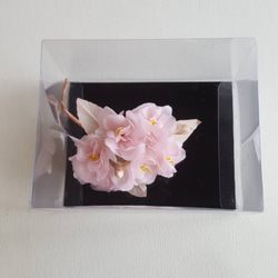【春限定】桜の布花コサージュ  再販 3枚目の画像