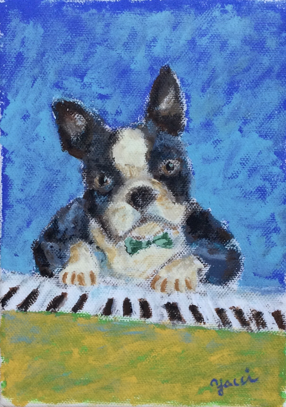 ピアノ弾きのボストンテリア(boston Terrier)