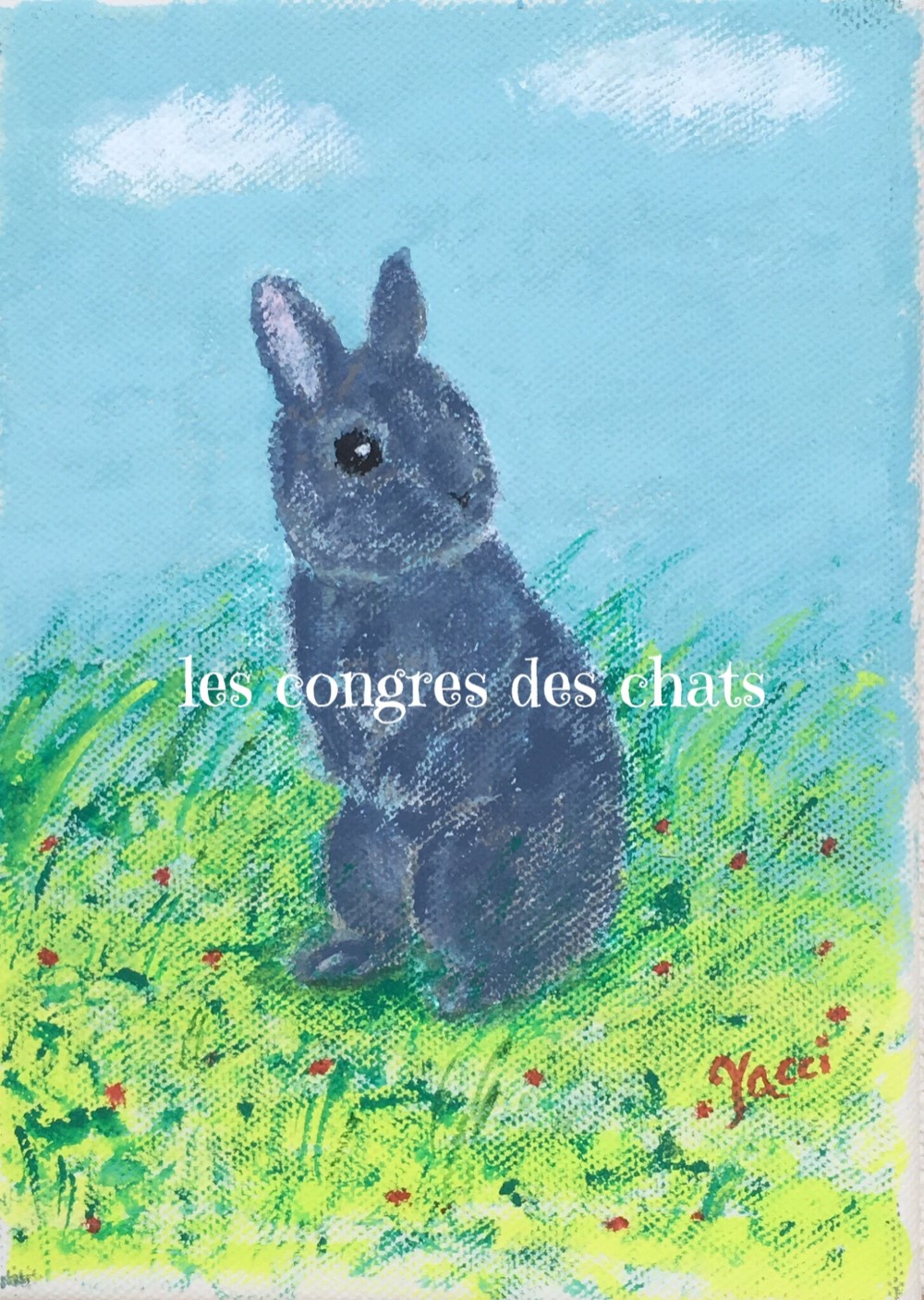 グレーのネザーランドドワーフ(Netherland Dwarf)