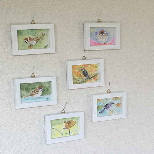 水彩画日本の鳥シリーズ　もず 3枚目の画像