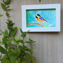 水彩画日本の鳥シリーズ　ヤマガラ 1枚目の画像
