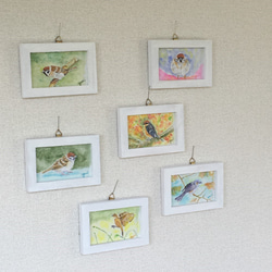 水彩画日本の鳥シリーズ　ヤマガラ 3枚目の画像