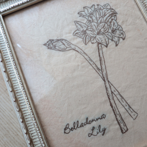 図鑑風 花刺繍 ベラドンナリリー タペストリー・壁掛け 花咲（は