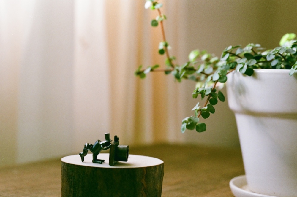 このゆびとまれ