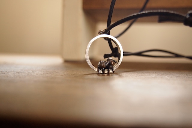 夕焼けワンニャン。