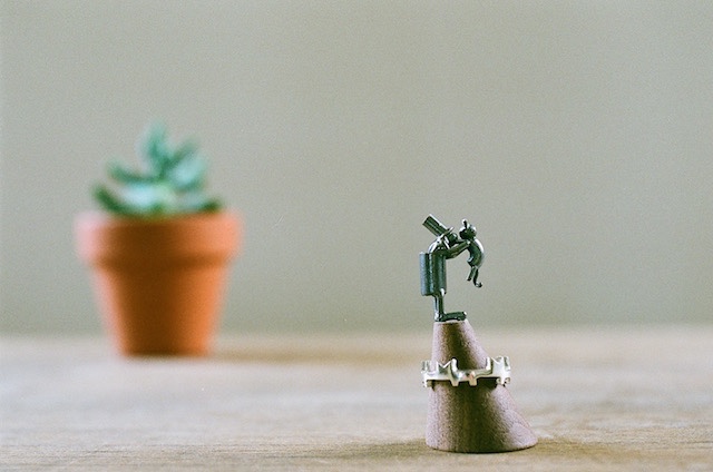 【夏の福袋】ネコさんづくし